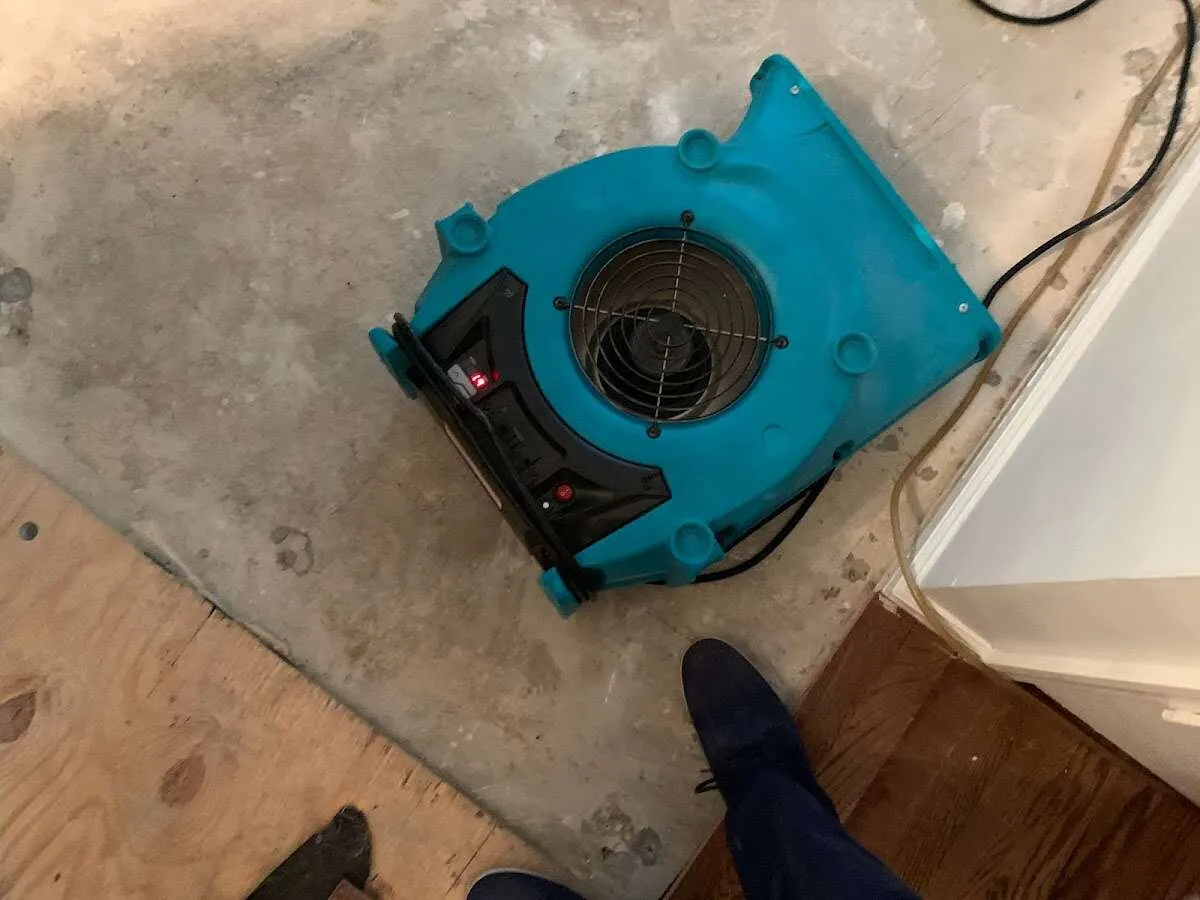 Air mover drying subfloor during Leak Detection & Repair in Glendale
